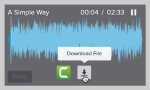 captura de pantalla de una canción descargada de TechSmith Assets