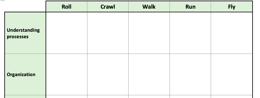 Exemplu Maturity Matrix