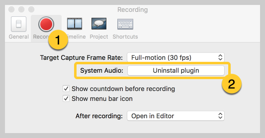 paramètres d'enregistrement audio du système camtasia