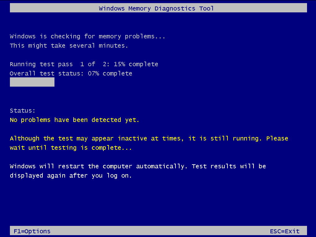 Tunggu sementara Windows memeriksa memori Anda untuk masalah.