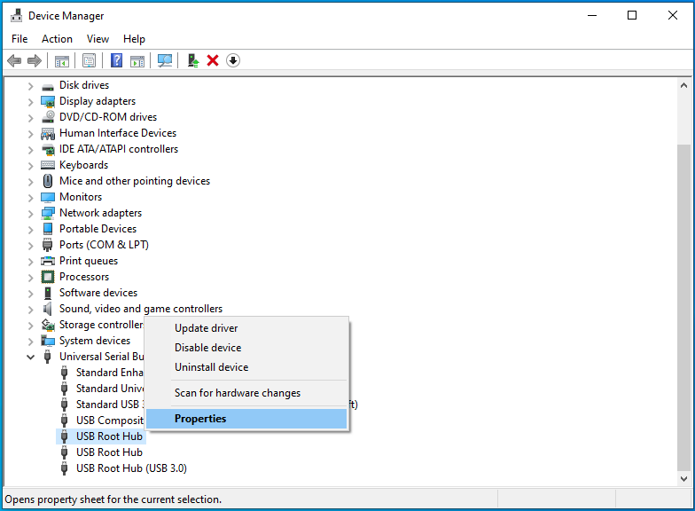 Clique com o botão direito do mouse em USB Root Hub e selecione Propriedades.