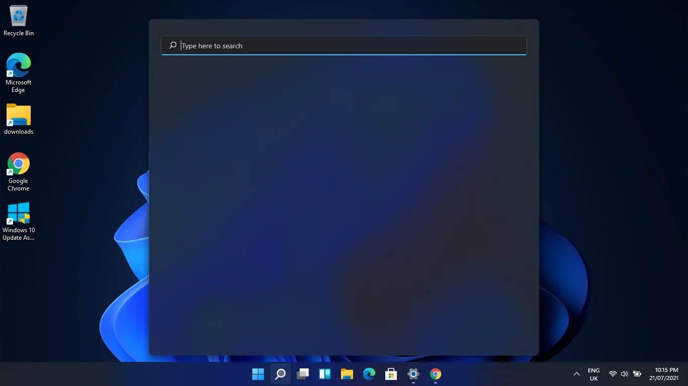 La búsqueda no muestra texto en el cuadro de búsqueda en Windows 11