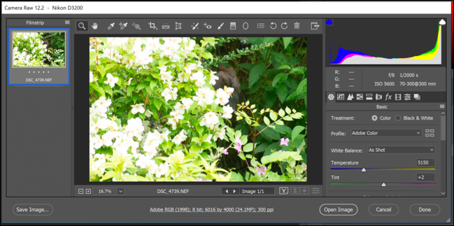 Меню параметров Photoshop Camera Raw