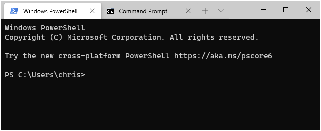 Schede PowerShell e Prompt dei comandi in Terminale di Windows.