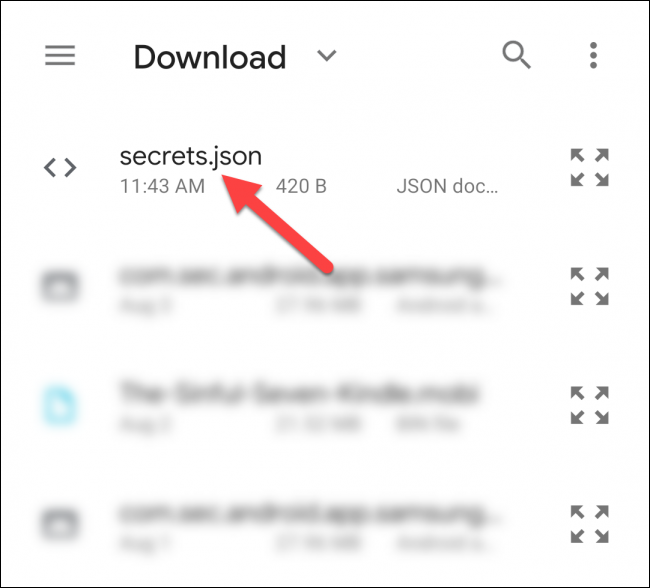 Selecione "secrets.json" na pasta "Download".