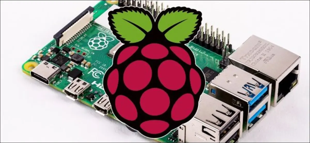 Raspberry Pi 及其官方覆盆子徽標。