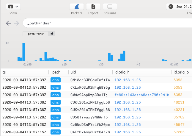 DNS tarafından filtrelenen bir özet ekranı.