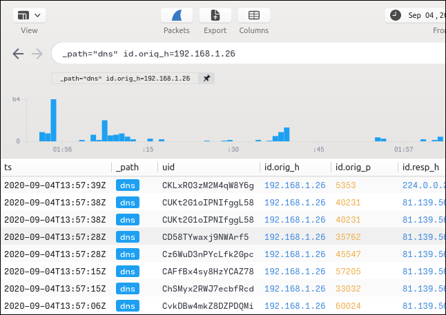 Una schermata di riepilogo filtrata per tipo di flusso e indirizzo IP.