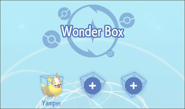 ポケモンホームワンダーボックスのYamperという名前のキャラクター。