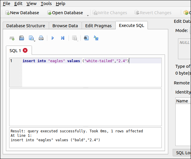 คำสั่ง INSERT SQL ในแท็บ Execute SQL ใน DB Browser สำหรับ SQLite