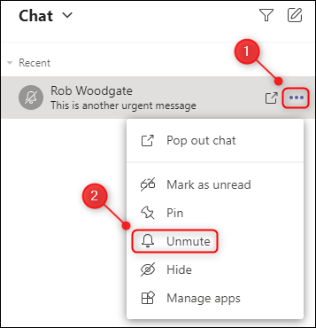 Die Menüoption „Stumm aufheben“ für einen Chat.