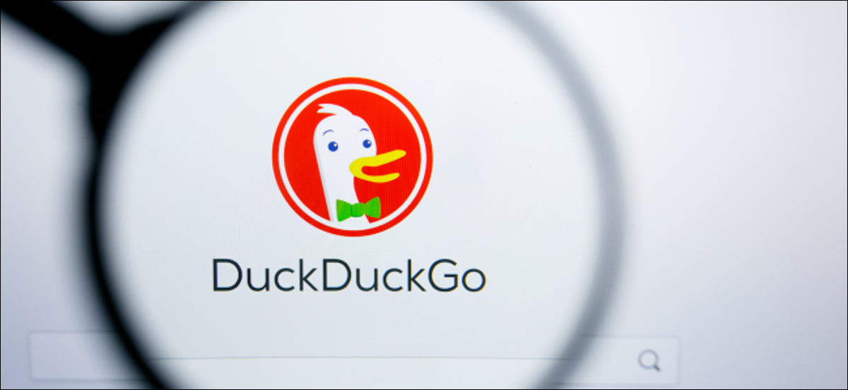 Logo DuckDuckGo pod lupą.