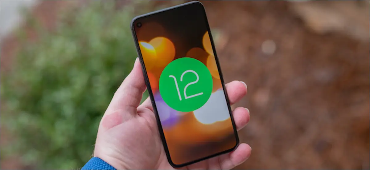 โลโก้ Android 12 บน Google Pixel 5