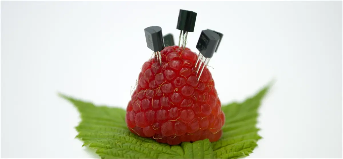 Una fruta de frambuesa con condensadores atascados.