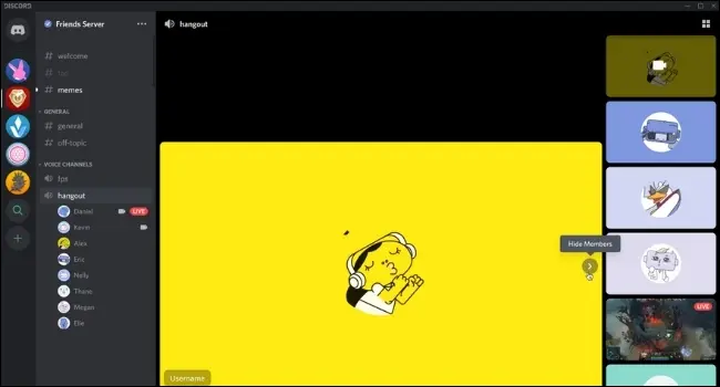 Ventana de chat de video de Discord