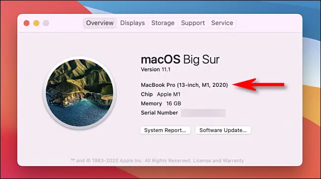 Mac 型号名称和年份列在“关于本机”窗口中。