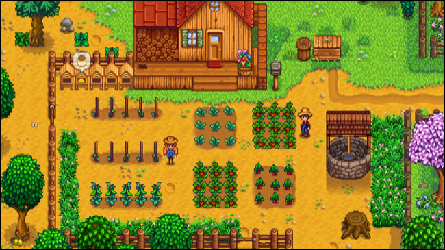 Valle stardew