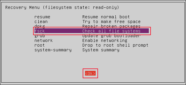 Menú de recuperación con fsck seleccionado