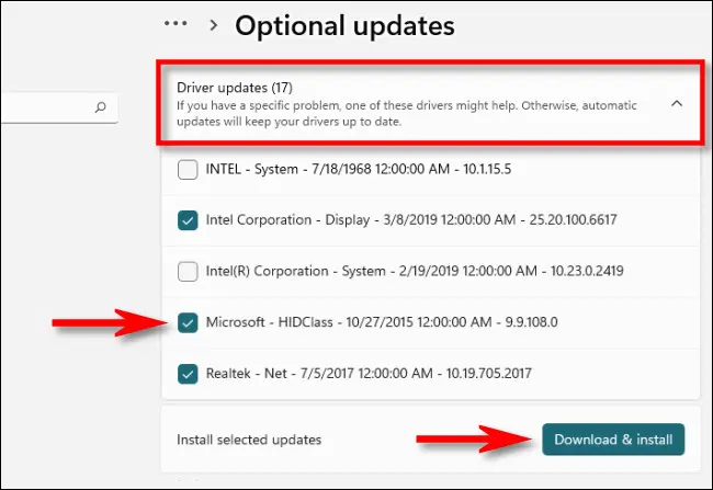 Wählen Sie die Treiber aus, die Sie installieren möchten, und klicken Sie dann auf „Herunterladen und installieren“.