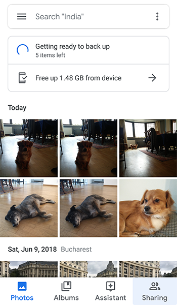 จัดระเบียบ Google Photos