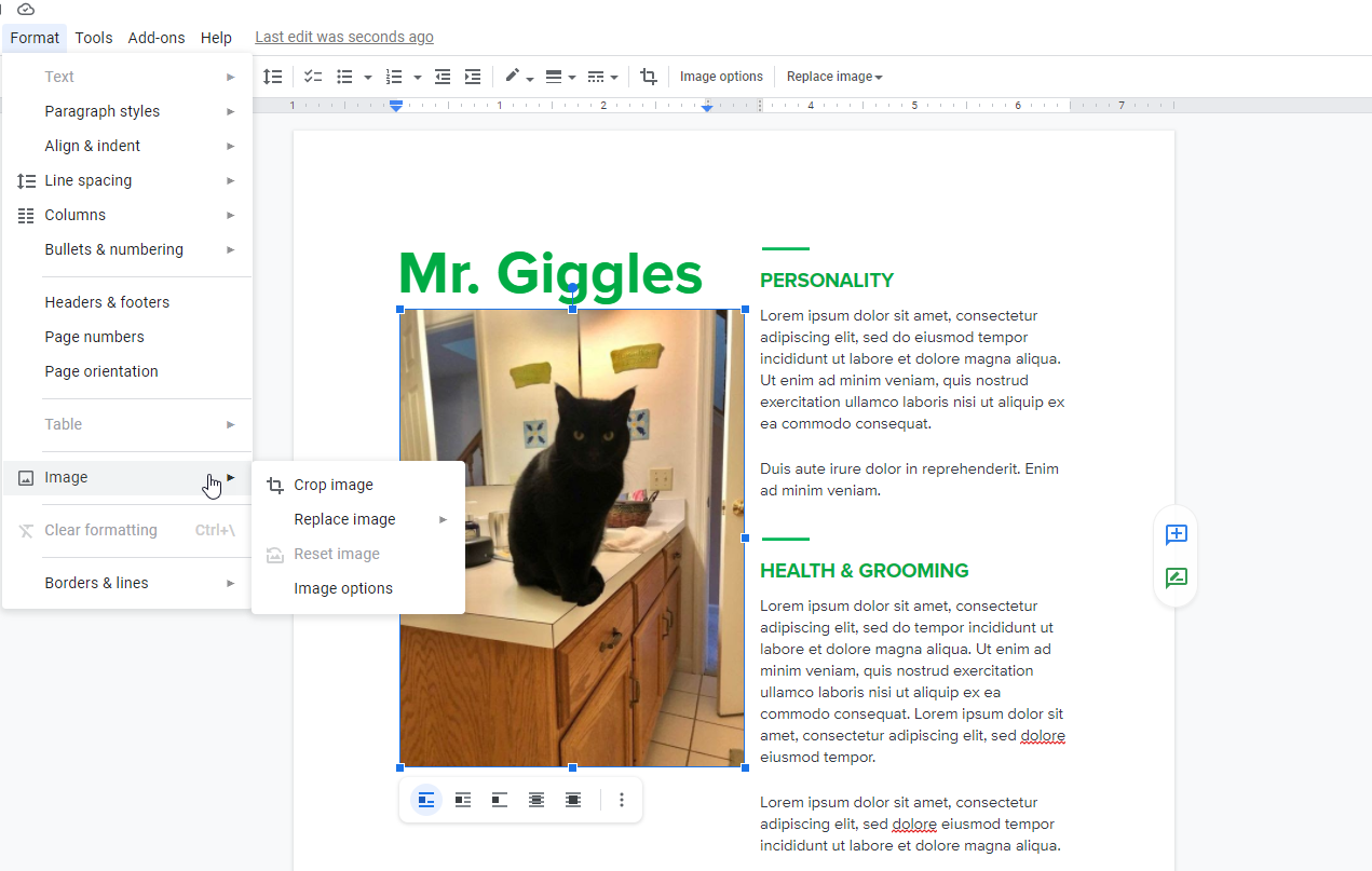 google doc foto