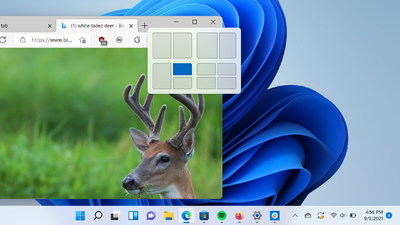 Tetap Rapi: Cara Menggunakan Tata Letak Snap di Windows 11 Gambar