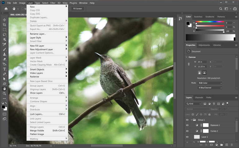 Examen d'Adobe Photoshop PCMag