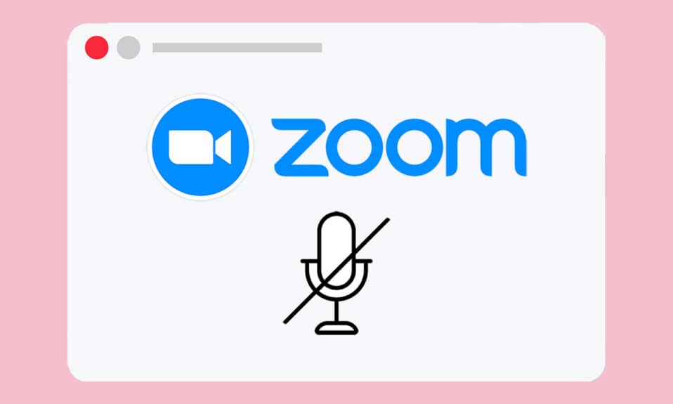 Arreglar Zoom Audio no funciona Windows 10