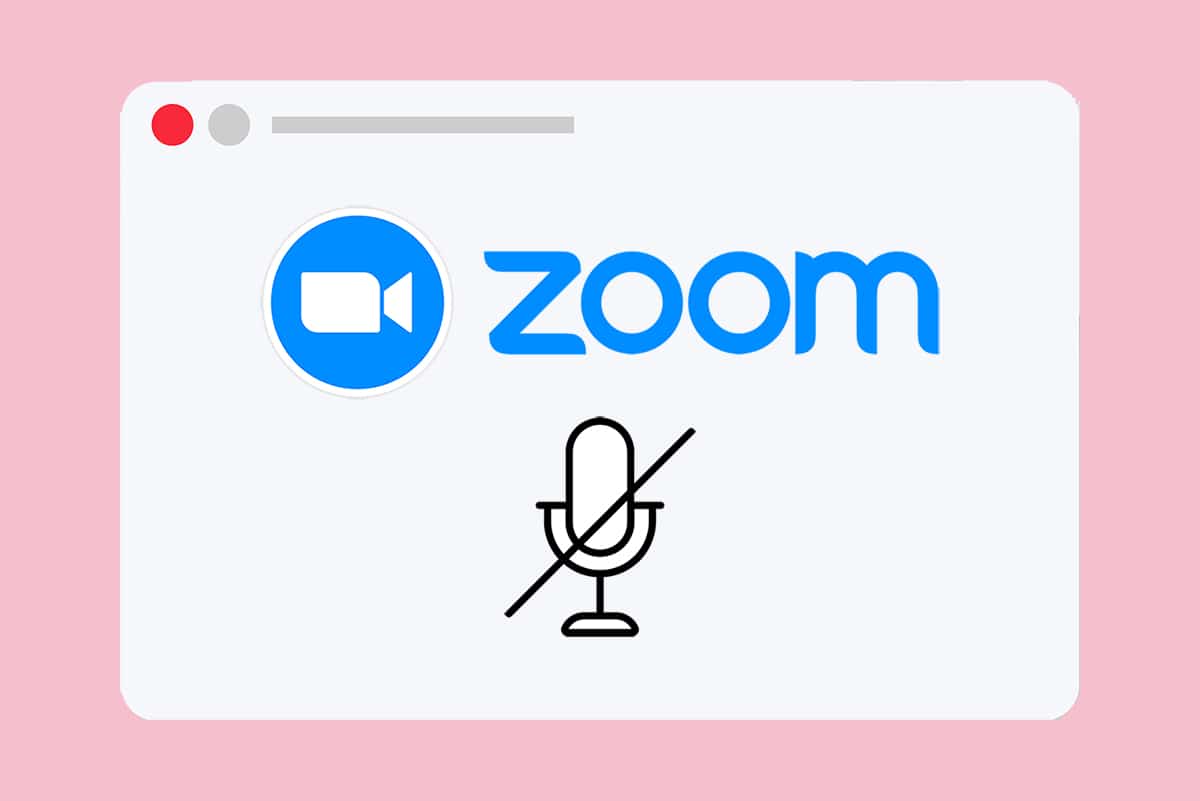 Correction du zoom audio ne fonctionnant pas sous Windows 10