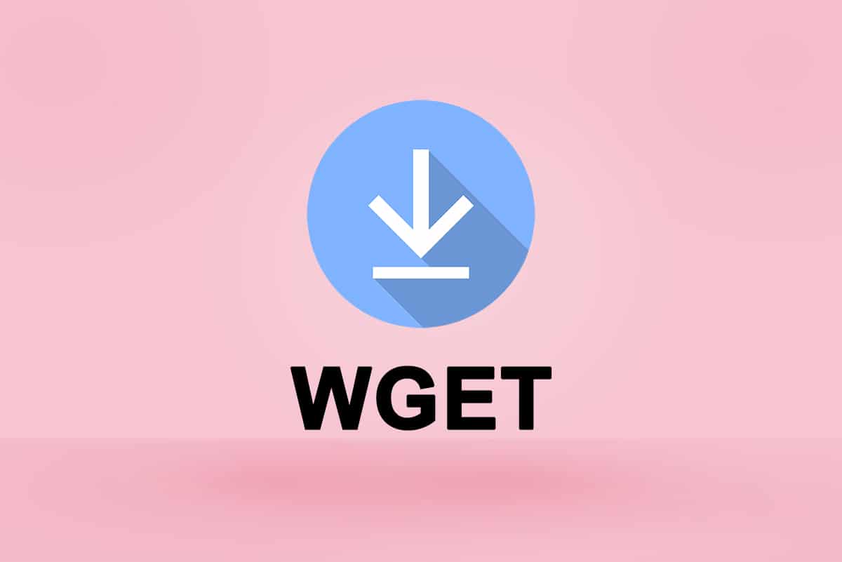 วิธีดาวน์โหลด ติดตั้ง และใช้ WGET สำหรับ Windows 10