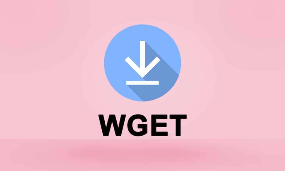 WGET for Windows 10をダウンロード、インストール、および使用する方法