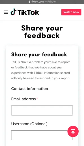 A imagem mostra o formulário de feedback. Como entrar em contato com o suporte do TikTok