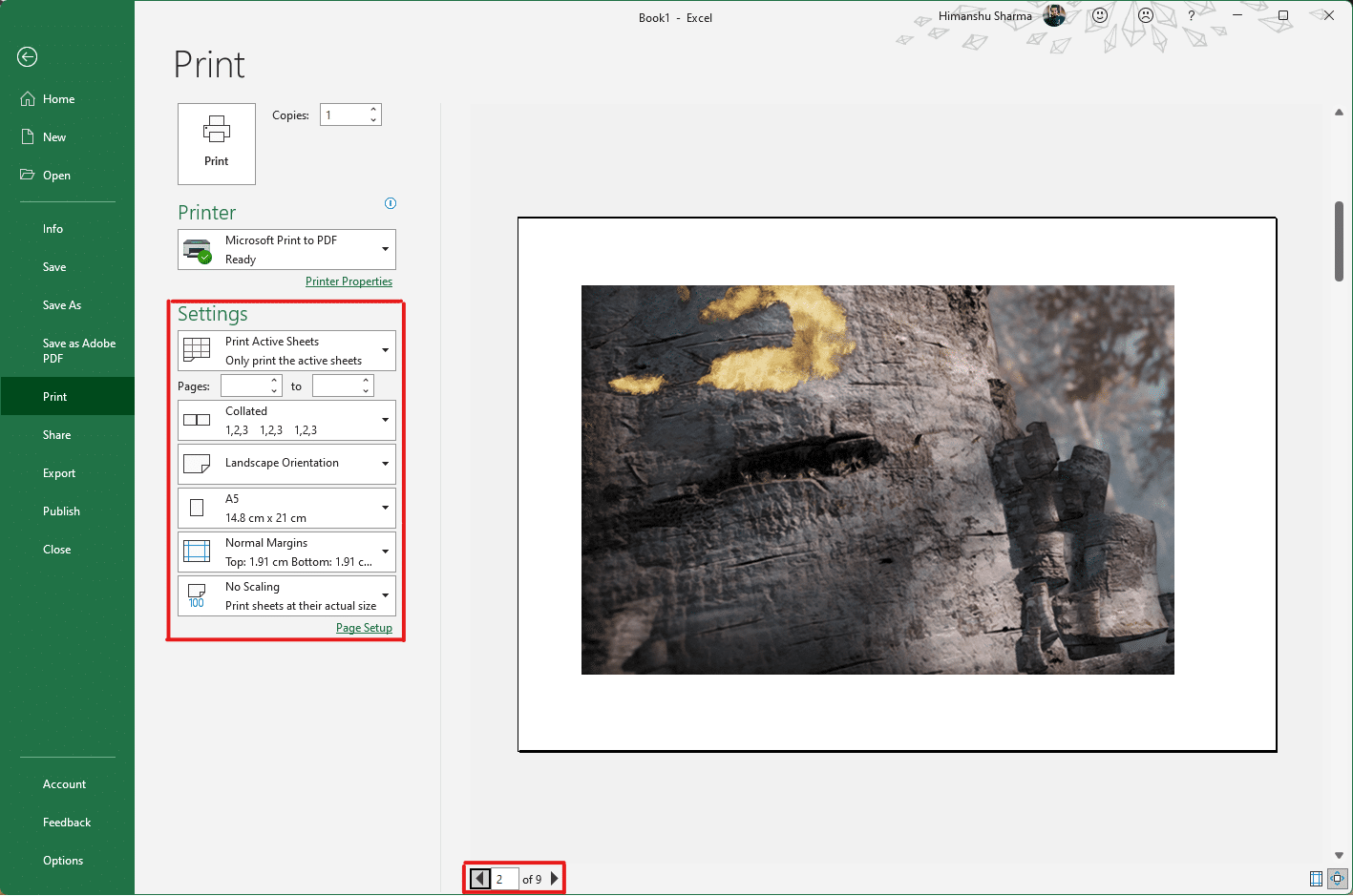 Fare clic sull'opzione Stampa e configurare la sezione Impostazioni in base alle preferenze dell'immagine di output. Verifica il numero di pagine in cui la tua immagine verrà divisa in base alle dimensioni allungate e alle impostazioni effettuate.