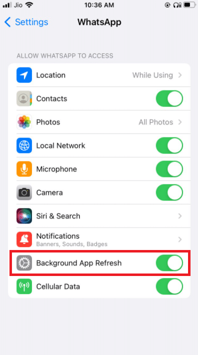 Arka Planda Uygulama Yenilemeyi etkinleştirin. WhatsApp Görüntülü Aramanın iPhone ve Android'de Çalışmamasını Düzeltme