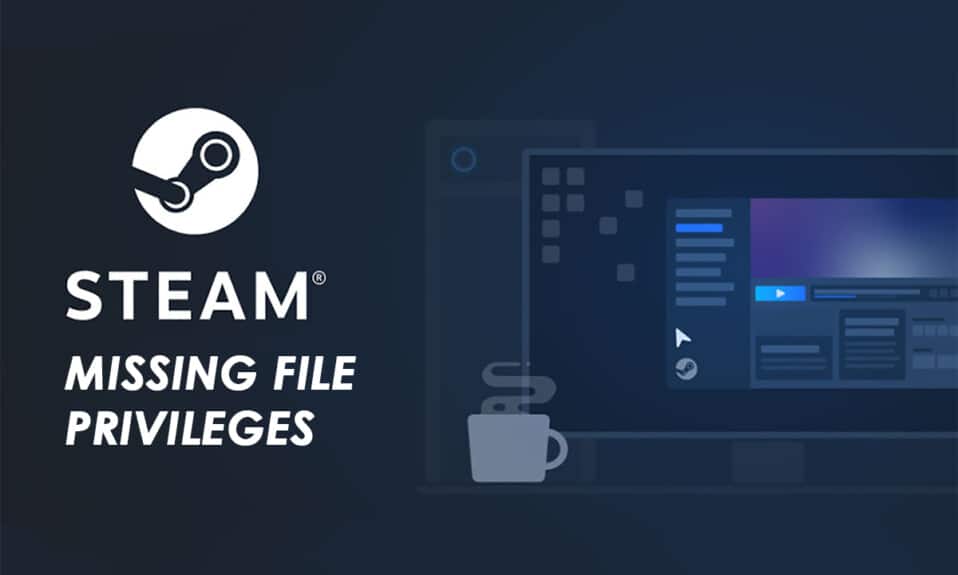 แก้ไข Steam Missing File Privileges ใน Windows 10