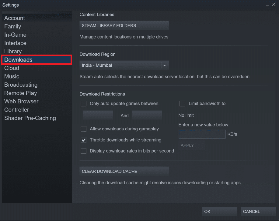 pengaturan unduhan. Perbaiki Hak Istimewa File Hilang Steam di Windows 10