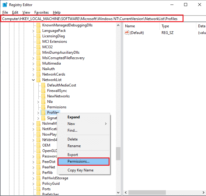 在註冊表編輯器中導航到 HKEY LOCAL MACHINE SOFTWARE Microsoft WindowsNT CurrentVersion NetworkList Profiles。修復 Microsoft Store 不工作 Windows 10