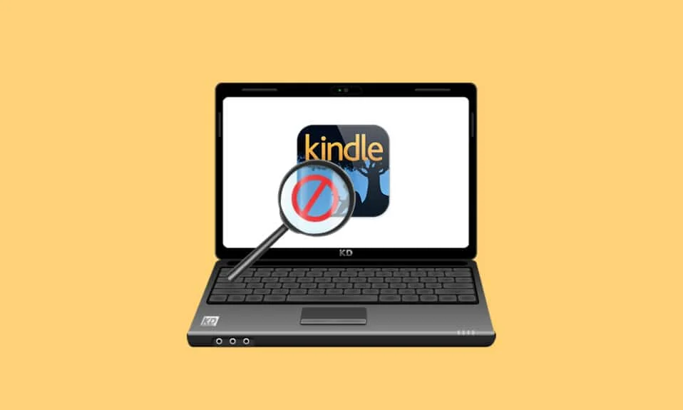 修复 Kindle 未在 PC 上显示