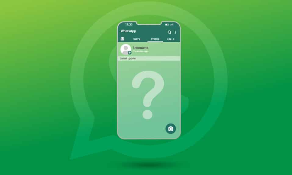 修復 WhatsApp 狀態未在 Android 上顯示