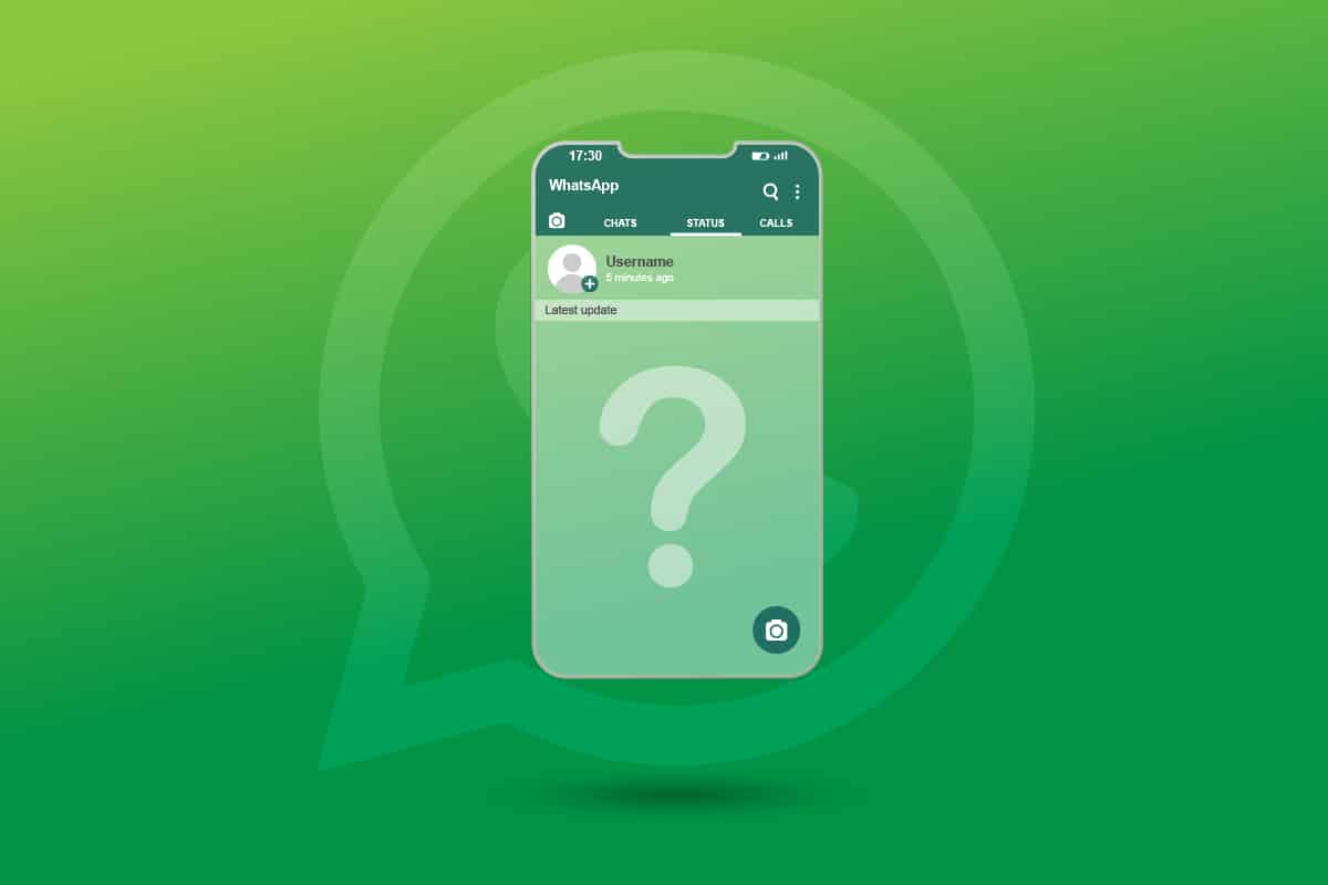 修復 WhatsApp 狀態未在 Android 上顯示