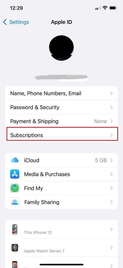 在 iPhone Apple ID 設置中點擊訂閱