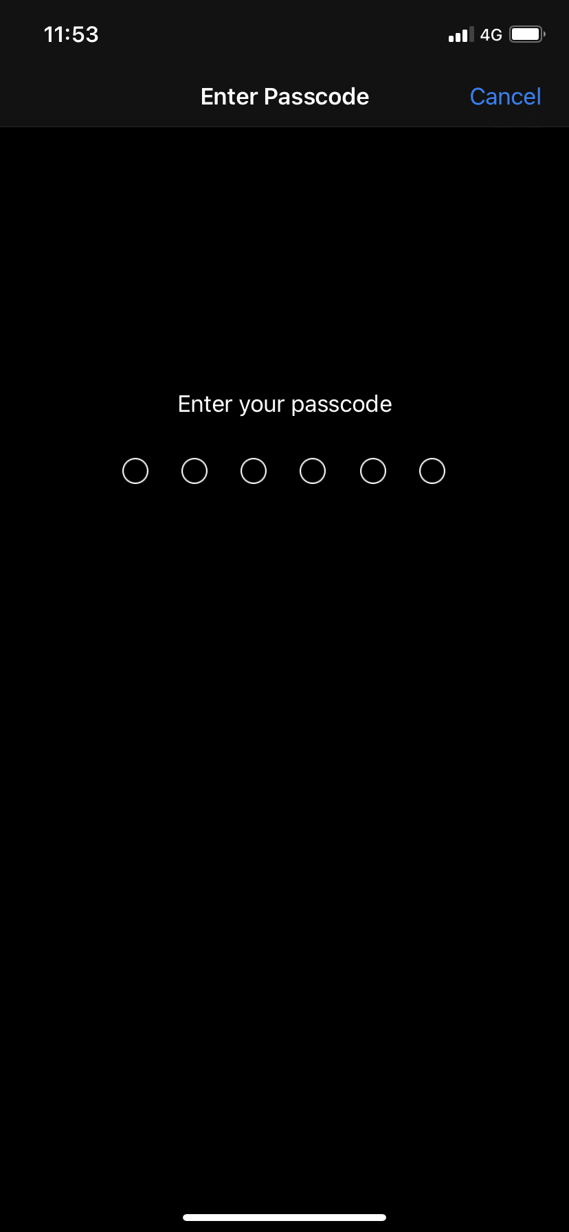 Digite sua senha. Como corrigir o problema de armazenamento completo do iPhone | Como corrigir o problema completo de armazenamento do iPhone