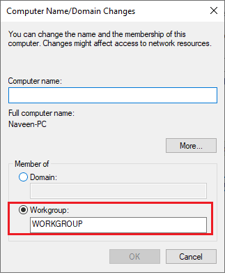 選擇 Workgroup 單選按鈕並輸入您喜歡的名稱