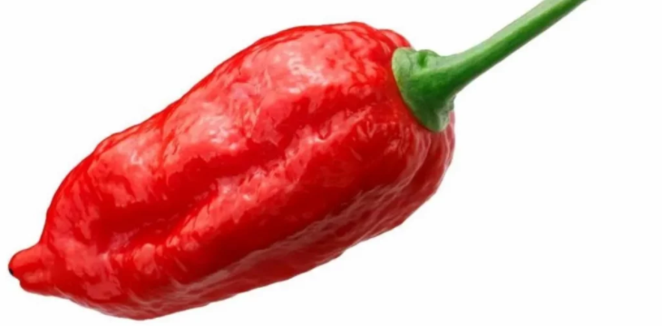 Piment fort Naga Morich