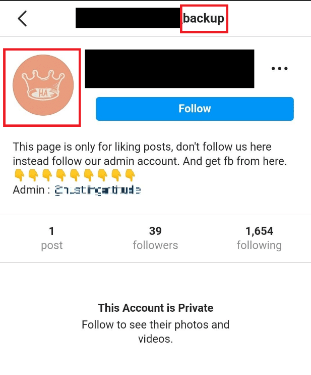 Nome utente e immagine del profilo falsi di un account Instagram