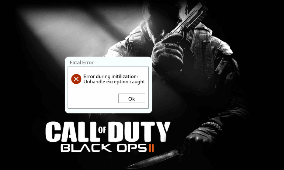 Correggi l'eccezione non gestita di CoD Black Ops 2 rilevata in Windows 10