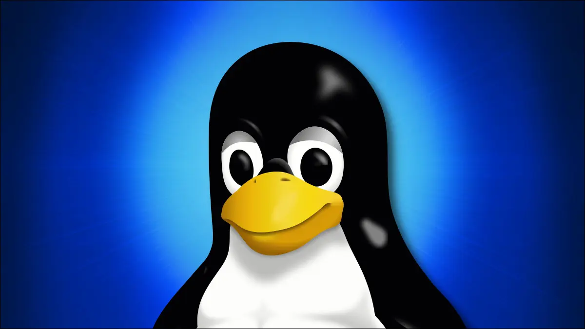 Linux Penguin Mascot Tux de cerca