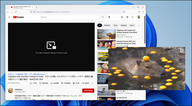 Picture-in-Picture di Firefox, berjalan di Windows