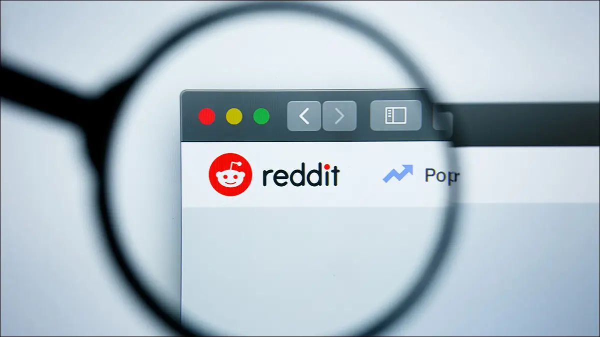 عدسة مكبرة مثبتة على Reddit ، مما يعني أن المستخدم يبحث عن المحتوى.