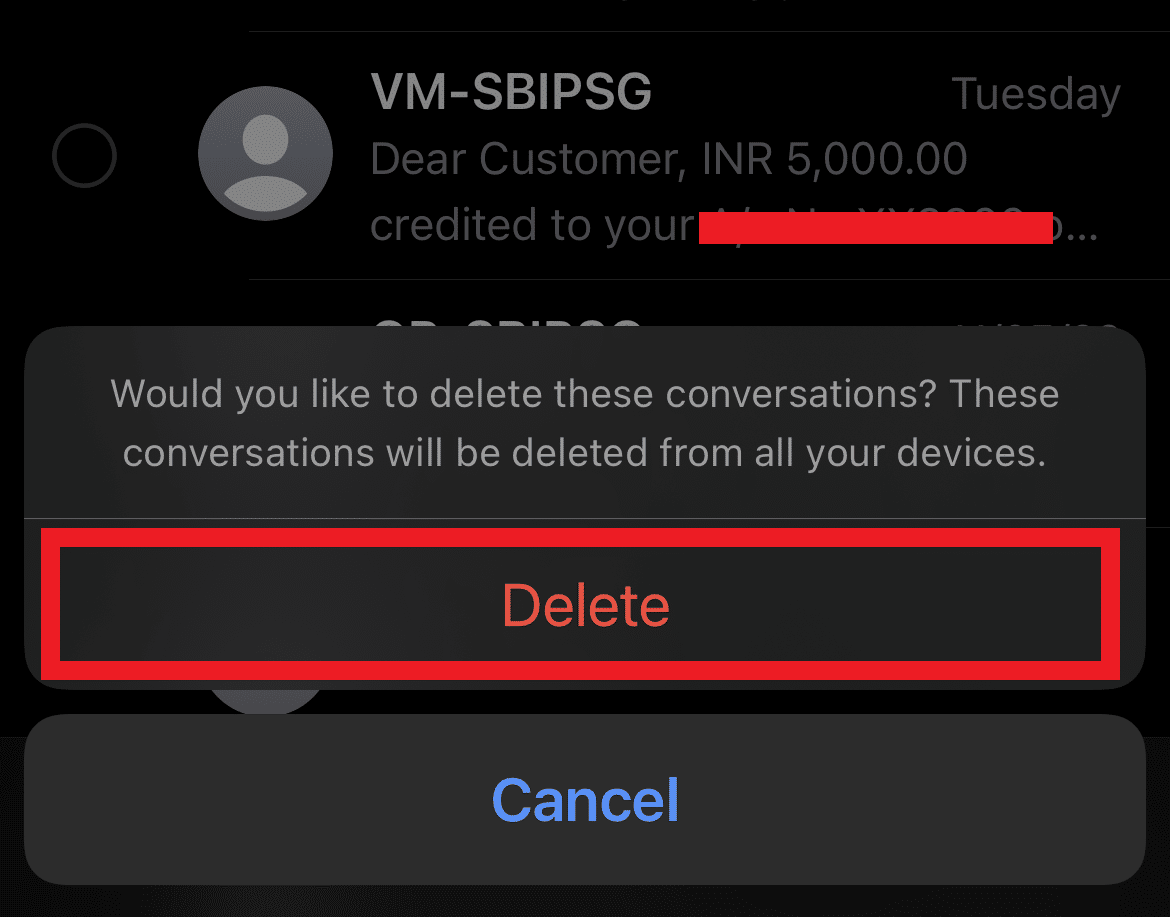 Tippen Sie auf die Option Löschen, um den Löschvorgang zu bestätigen | So löschen Sie Nachrichten auf dem iPhone von beiden Seiten
